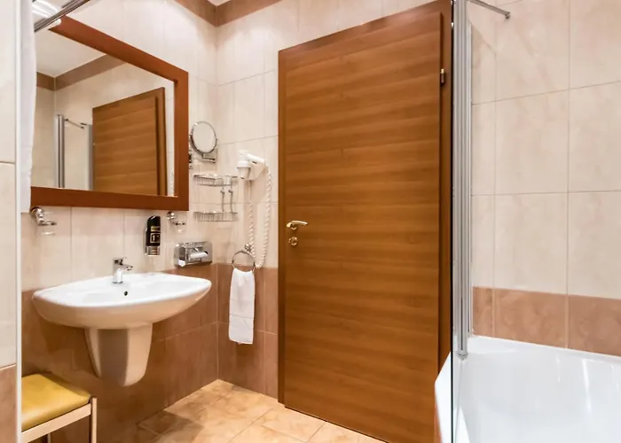 Corvinus Hotel 4*